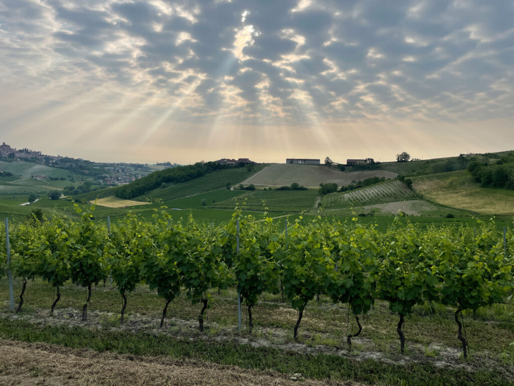 tenuta-genevrina-territorio-0