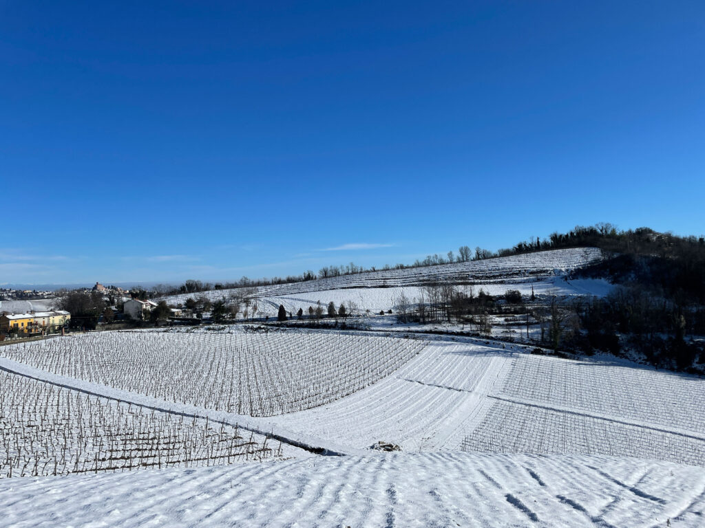 tenuta-genevrina-territorio-4