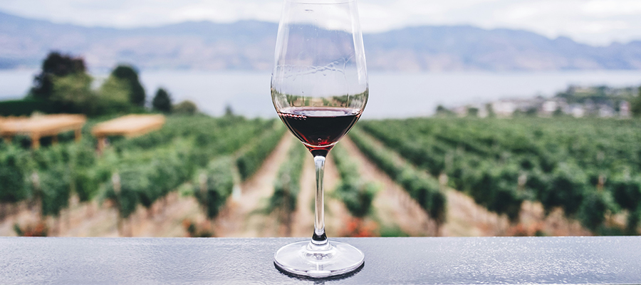 Bicchiere di vino rosso